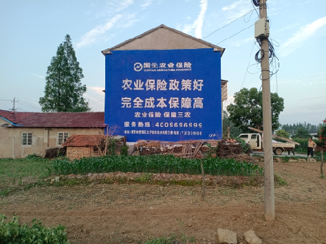 大荔县墙体广告为何受追捧？